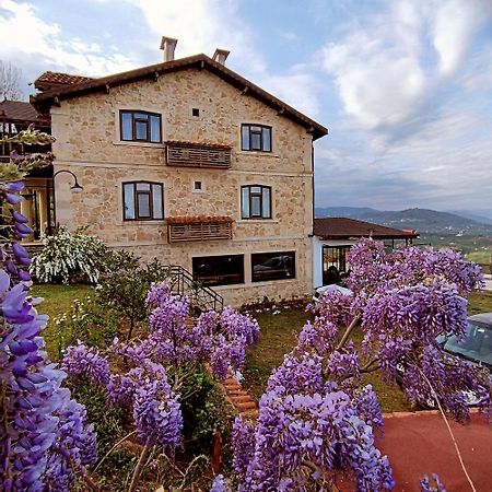 Hayat Oksijen Resort Ordu Esterno foto
