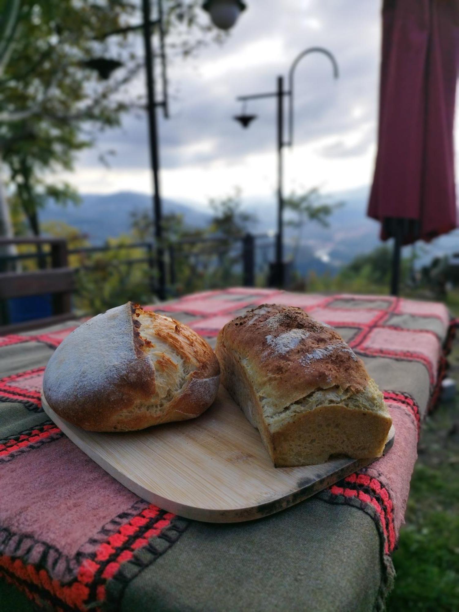 Hayat Oksijen Resort Ordu Esterno foto