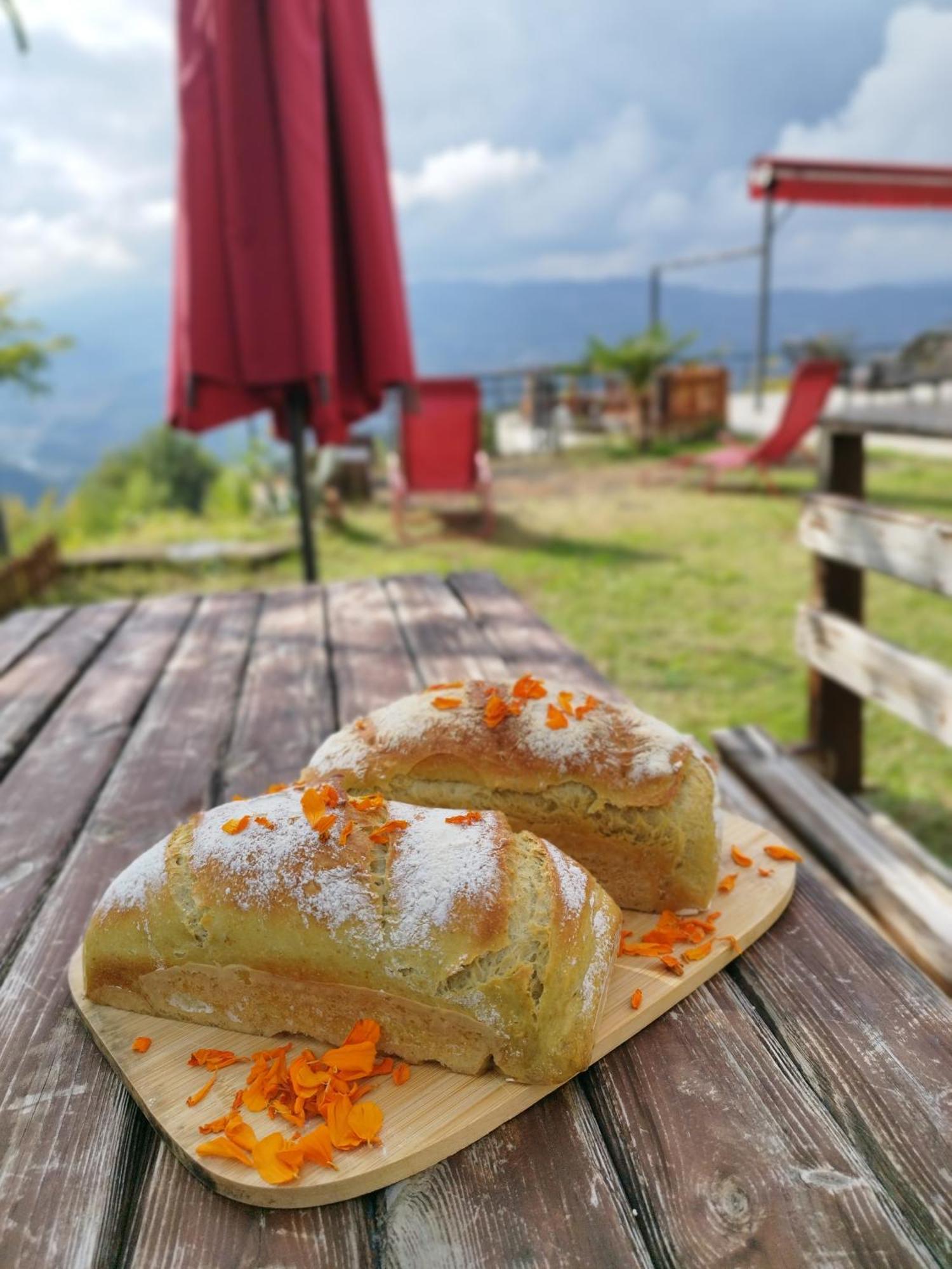 Hayat Oksijen Resort Ordu Esterno foto