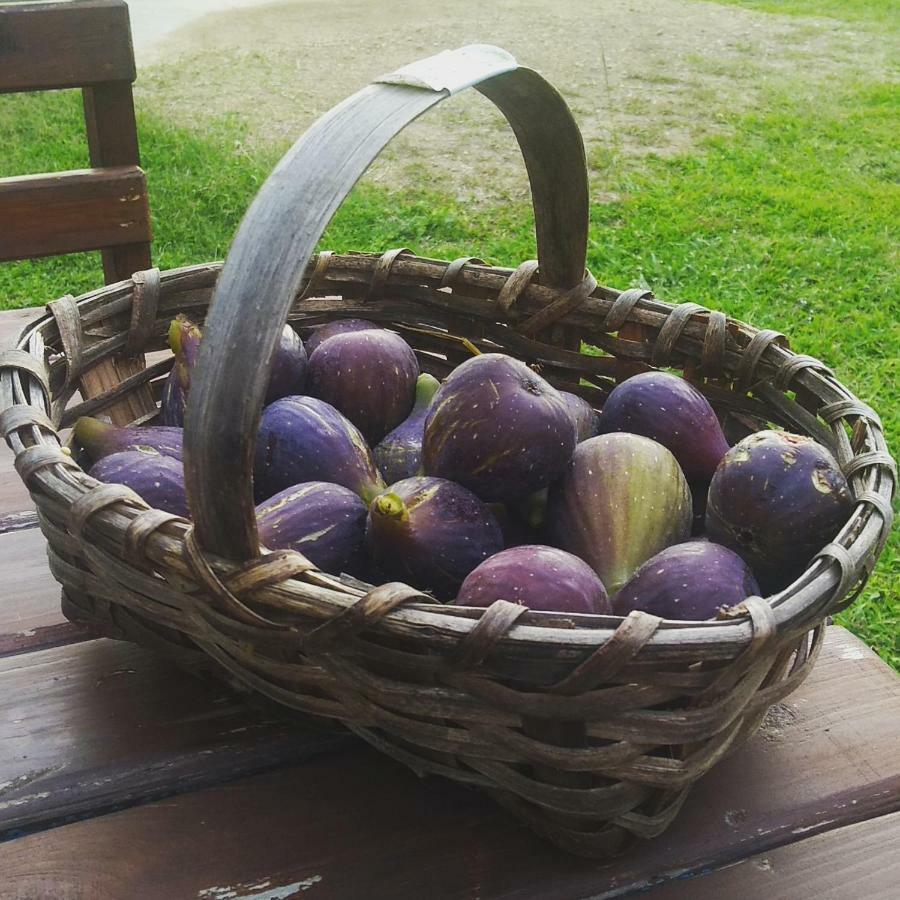 Hayat Oksijen Resort Ordu Esterno foto